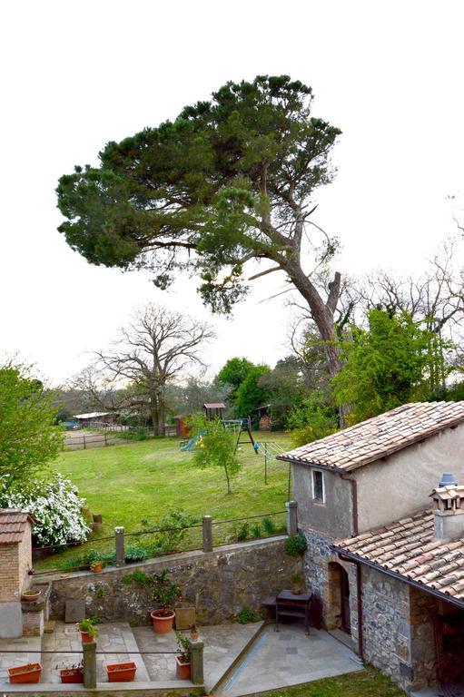 Agriturismo Tenuta Buon Respiro Orvieto Exterior foto